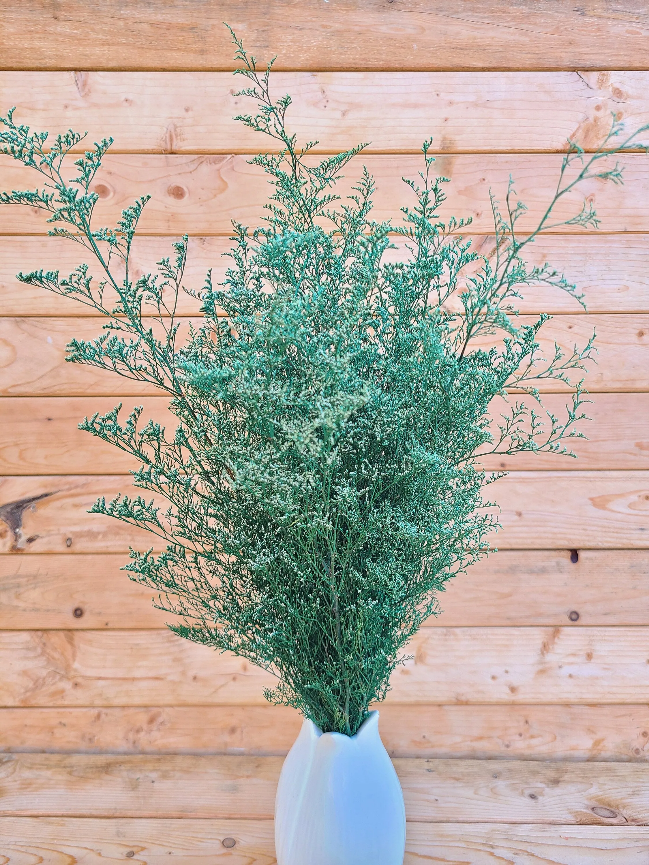 Bunch of preserved white tipped green caspia, Dried Wedding Flowers, wedding decor