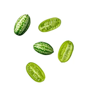 Cucamelon Seeds | West Coast Seeds