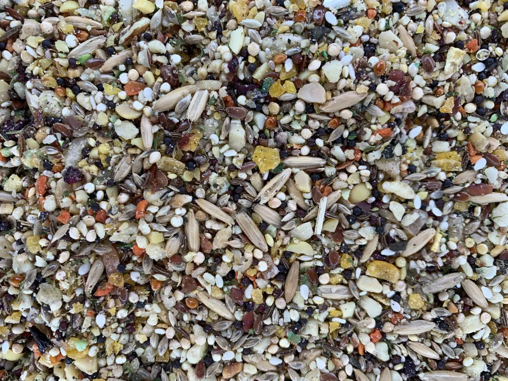 Higgins Versele-Laga Goldenfeast Patagonian Blend Bird Food for Lovebirds & Tiels & Parrotlets