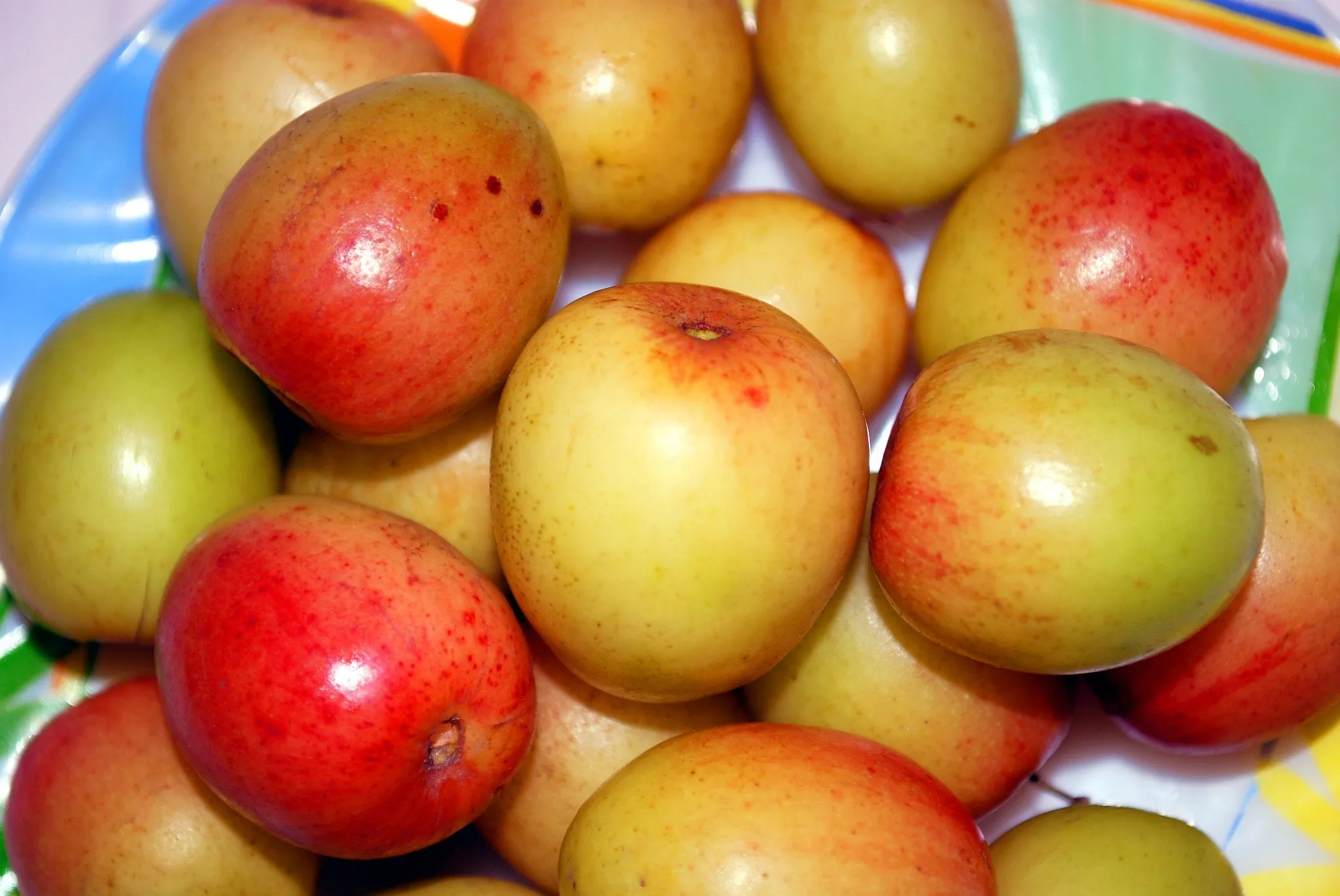 Indian Jujube Ziziphus mauritiana 10 Seeds  USA Company