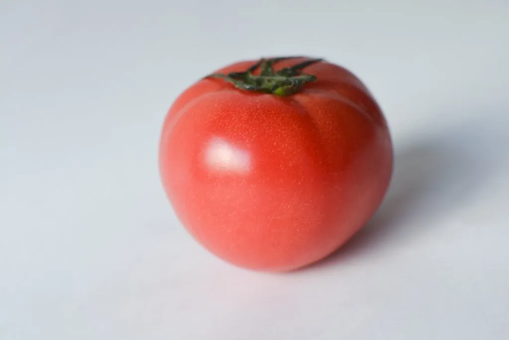 Tomato