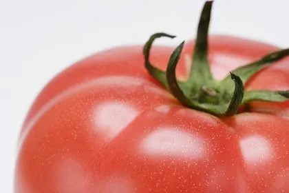 Tomato